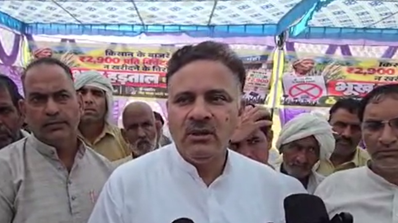Jhajjar में बाजरा खरीद को लेकर आढ़तियों के धरने में पहुंचे MLA कुलदीप वत्स, किसान की तुलना पर मचा बवाल Jhajjar में बाजरा खरीद को लेकर आढ़तियों के धरने में पहुंचे MLA कुलदीप वत्स, किसान की तुलना पर मचा बवाल