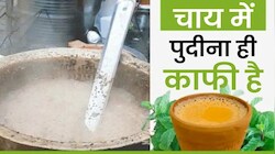 नाथद्वारा की पुदीना चाय: एक भक्त ने की ऐसी फरमाइश कि बन गई शहर की पहचान, जानें रेसिपी