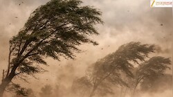 राजस्थान को भयंकर रूप दिखाने वाला है मौसम: 8 जिलों में आंधी-तूफान का अलर्ट, अगले 48 घंटे भारी