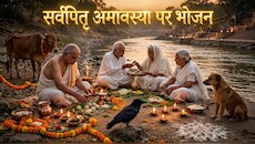 Pitru Paksha 2026: पिपलिकादि बलि से ब्राह्मण भोज तक... पितृ दोष से मुक्ति के लिए सर्वपितृ अमावस्या पर किन 10 लोगों को कराएं भोजन?