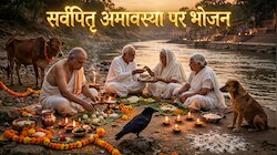 Pitru Paksha 2026: पिपलिकादि बलि से ब्राह्मण भोज तक... पितृ दोष से मुक्ति के लिए सर्वपितृ अमावस्या पर किन 10 लोगों को कराएं भोजन?