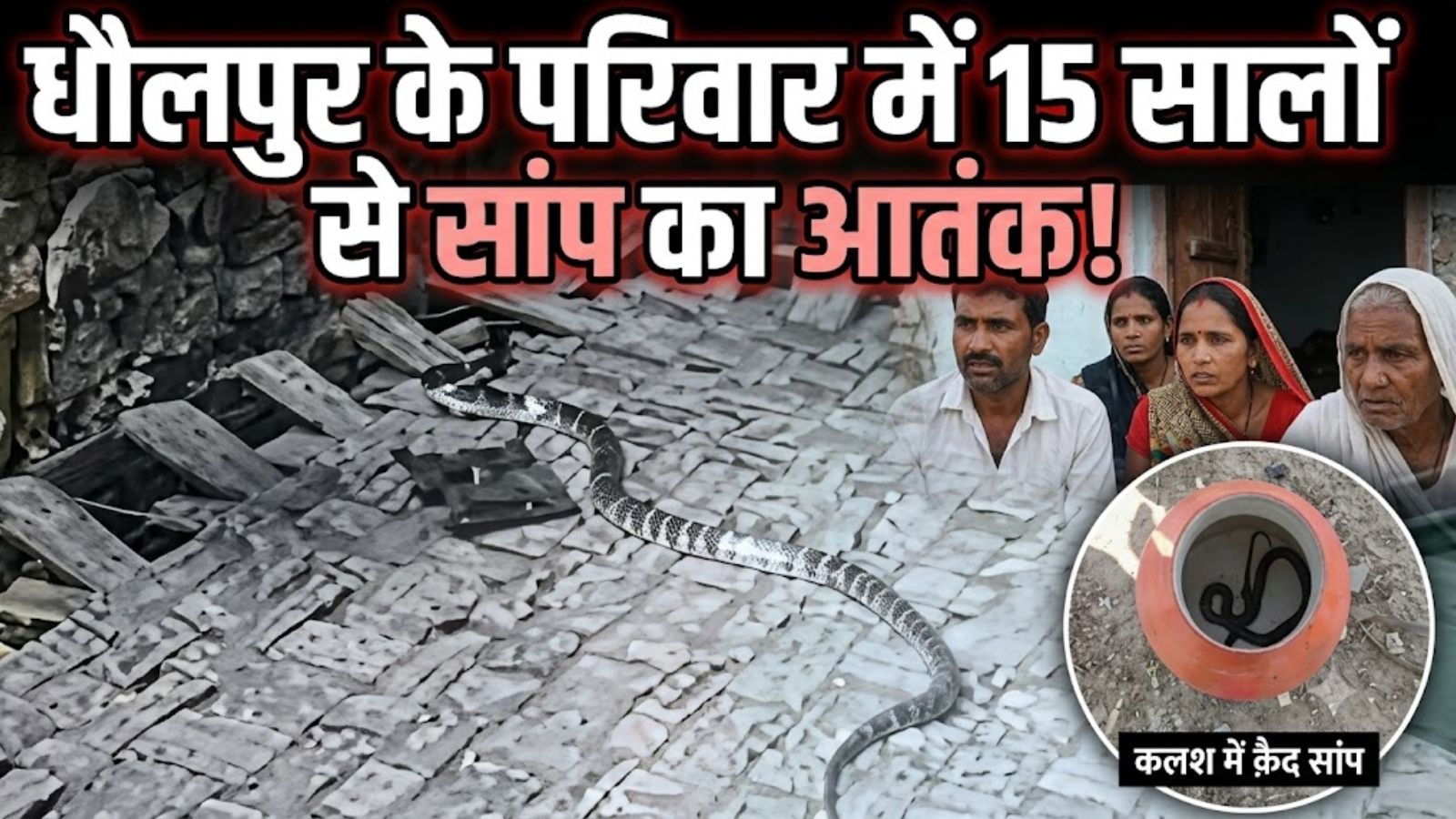 एक ही परिवार में चौथी बार सांप का कहर, अब सोते समय 11 साल के मासूम को लेने आ गई मौत एक ही परिवार में चौथी बार सांप का कहर, अब सोते समय 11 साल के मासूम को लेने आ गई मौत