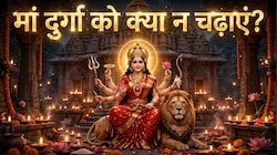 Navratri 2026: शारदीय नवरात्र में मां दुर्गा को भूलकर भी न चढ़ाएं ये चीजें, नियम को किया अनदेखा तो पूजा नहीं होगी पूरी