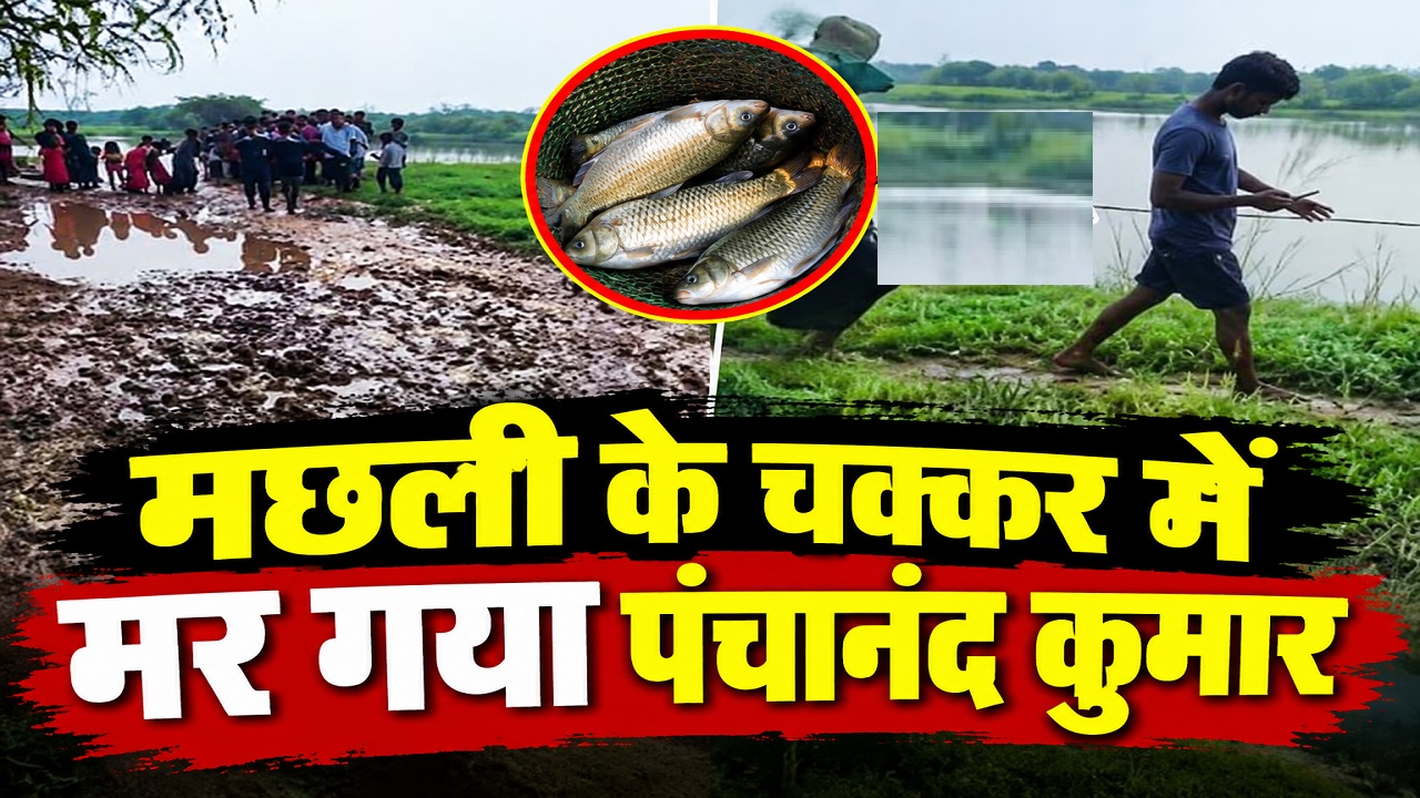 मछली के चक्कर में मर गया पंचानंद कुमार: जाल डालते समय गहरे पानी में डूबा, अगले दिन मिला शव मछली के चक्कर में मर गया पंचानंद कुमार: जाल डालते समय गहरे पानी में डूबा, अगले दिन मिला शव