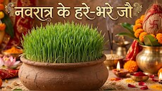 Shardiya Navratri 2026: नवरात्र से पहले जानें कैसे उगेंगे हरे-भरे जौ, इसका रंग और बढ़ने का तरीका क्या देता है संकेत?