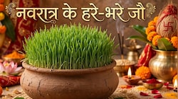 Shardiya Navratri 2026: नवरात्र से पहले जानें कैसे उगेंगे हरे-भरे जौ, इसका रंग और बढ़ने का तरीका क्या देता है संकेत?
