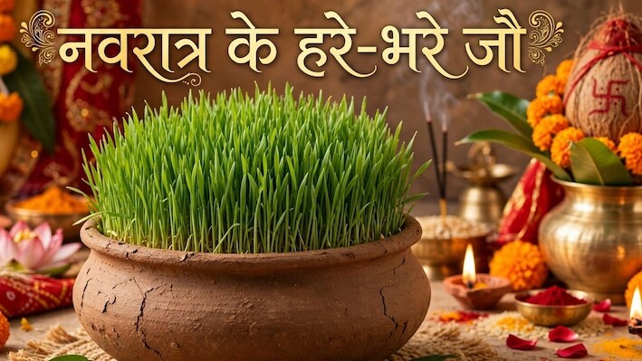 Shardiya Navratri 2026: नवरात्र से पहले जानें कैसे उगेंगे हरे-भरे जौ, इसका रंग और बढ़ने का तरीका क्या देता है संकेत?