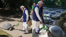 दुनिया का सबसे बुजुर्ग कछुआ: क्या इंसान भी जी सकेंगे 194 साल? PM मोदी से मिले 'जोनाथन' पर वैज्ञानिकों की रिसर्च