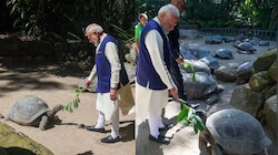 दुनिया का सबसे बुजुर्ग कछुआ: क्या इंसान भी जी सकेंगे 194 साल? PM मोदी से मिले 'जोनाथन' पर वैज्ञानिकों की रिसर्च