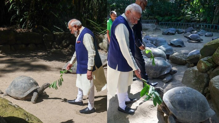 दुनिया का सबसे बुजुर्ग कछुआ: क्या इंसान भी जी सकेंगे 194 साल? PM मोदी से मिले 'जोनाथन' पर वैज्ञानिकों की रिसर्च