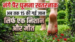 स्क्रब टाइफस : पार्क में नंगे पैर ना चले,  3 महीने में हो चुकी हैं 15 मौतें