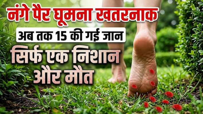 स्क्रब टाइफस : पार्क में नंगे पैर ना चले,  3 महीने में हो चुकी हैं 15 मौतें