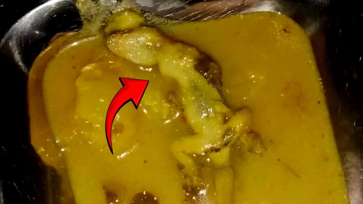 छिपकली गिरी आलू की सब्जी खाने से 13 बच्चे बीमार, भोपाल के श्रमोदय विद्यालय का मामला