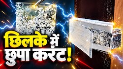 400 Volts का झटका देने आया लहसुन का छिलका! भारतीय वैज्ञानिकों ने ढूंढ निकाला फ्री बिजली बनाने का तरीका