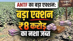 ANTF का बड़ा एक्शन: 5 जिलों में 8 करोड़ का नशा जब्त, सरकारी जमीन पर गांजे की खेती और अफीम का दूध बरामद