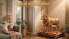 Vastu Tips: सुख-समृद्धि के लिए आपने भी घर में रखी है गाय की प्रतिमा, क्या है इससे जुड़े सही वास्तु नियम? जानें