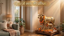 Vastu Tips: सुख-समृद्धि के लिए आपने भी घर में रखी है गाय की प्रतिमा, क्या है इससे जुड़े सही वास्तु नियम? जानें