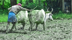 PM Kisan: करोड़ों किसानों को कब मिलेंगे 24वीं किस्त के ₹2000, ऑनलाइन ऐसे चेक करें पेमेंट स्टेटस?