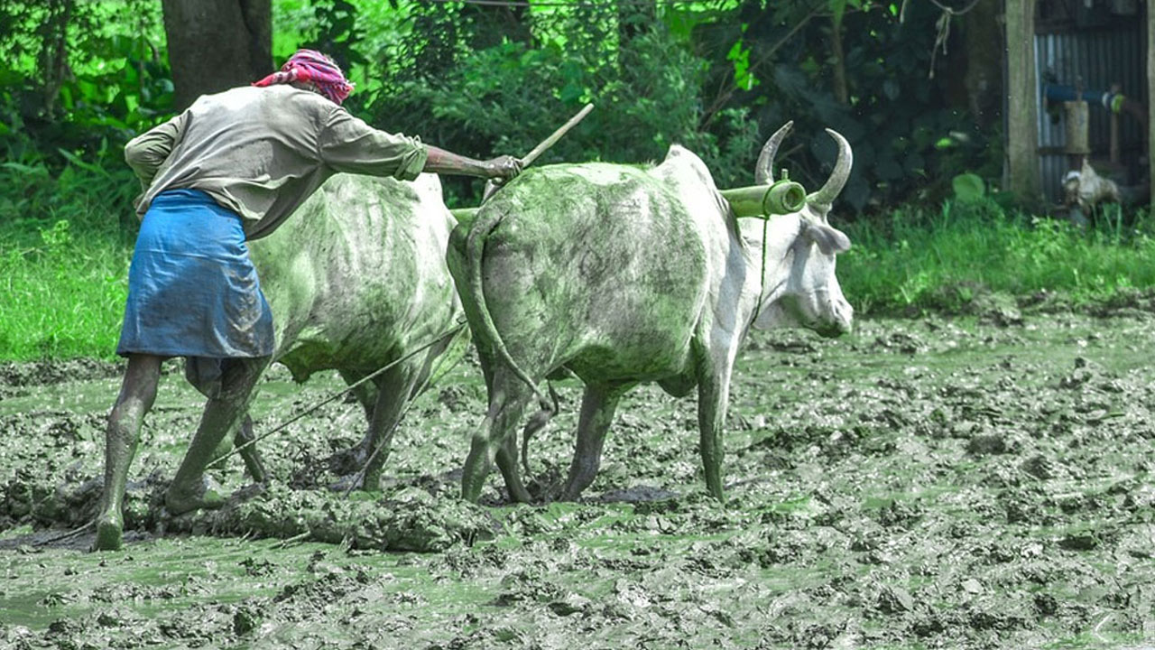 PM Kisan: करोड़ों किसानों को कब मिलेंगे 24वीं किस्त के ₹2000, ऑनलाइन ऐसे चेक करें पेमेंट स्टेटस? PM Kisan: करोड़ों किसानों को कब मिलेंगे 24वीं किस्त के ₹2000, ऑनलाइन ऐसे चेक करें पेमेंट स्टेटस?