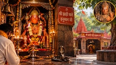 झाड़ी वाले हनुमान जी: 1200 साल पुराना चमत्कारिक मंदिर, जहां रात में आते हैं सांप और पूरी होती है हर मन्नत