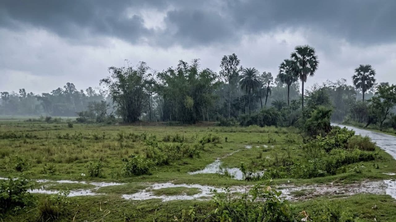 Bihar weather