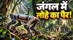 चीन: पहली बार खौफनाक जंगल में घुसा 'साइलेंट किलर'! एआई 'रोबोटिक्‍स डॉग' का तांडव, ढूंढ लाया दुर्लभ खजाना