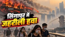 इंडोनेशिया में धधकते जंगल: सिंगापुर में हाहाकार का मंजर, पूर्वी तिमोर में स्कूल 3 दिन के लिए बंद