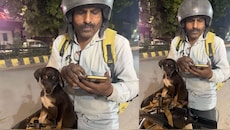 सबसे प्यारी डिलीवरी: कस्टमर ने जब Blinkit एजेंट से पूछा पिल्ले का राज, तो सामने आई रूह को सुकून देने वाली कहानी