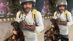 सबसे प्यारी डिलीवरी: कस्टमर ने जब Blinkit एजेंट से पूछा पिल्ले का राज, तो सामने आई रूह को सुकून देने वाली कहानी