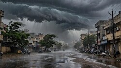 छत्तीसगढ़ में बिजली गिरने का खतरा! अचानक से बदलेगा मौसम...तेज हवाओं के साथ बारिश का अलर्ट