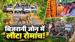 जंगल का लौटा रोमांच: कॉर्बेट के बिजरानी जोन में उमड़े सैलानी, टाइगर की एक झलक पाने को पर्यटकों में जबरदस्त क्रेज