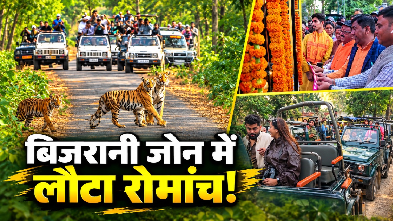 जंगल का लौटा रोमांच: कॉर्बेट के बिजरानी जोन में उमड़े सैलानी, टाइगर की एक झलक पाने को पर्यटकों में जबरदस्त क्रेज जंगल का लौटा रोमांच: कॉर्बेट के बिजरानी जोन में उमड़े सैलानी, टाइगर की एक झलक पाने को पर्यटकों में जबरदस्त क्रेज