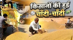 किसानों के लिए जरूरी खबर: बारां मंडी में बदले नीलामी के नियम, जानें किस जिंस की कहां होगी बिक्री