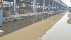 हनुमानगढ़ की धानमंडी में मामूली बारिश से हाहाकार: भीगा किसानों का धान, व्यापारियों ने सराकर को दी ये बड़ी चेतावनी