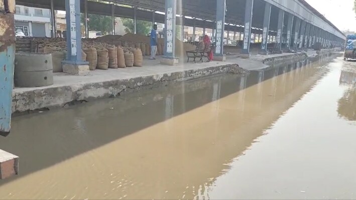 हनुमानगढ़ की धानमंडी में मामूली बारिश से हाहाकार: भीगा किसानों का धान, व्यापारियों ने सराकर को दी ये बड़ी चेतावनी