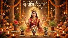 विजयादशमी पर मां दुर्गा की कृपा चाहिए तो पर्व से पहले ही घर में लगाएं ये 5 पौधे, पूरी होगी मनोकामना और बढ़ेगा सुख!