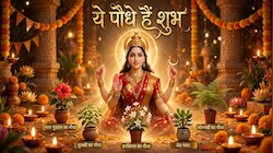 विजयादशमी पर मां दुर्गा की कृपा चाहिए तो पर्व से पहले ही घर में लगाएं ये 5 पौधे, पूरी होगी मनोकामना और बढ़ेगा सुख!