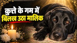 बेजुबान से बेइंतहा मोहब्बत: पालतू कुत्ते की मौत पर छपवाए शोक संदेश के कार्ड, मालिक ने इंसानों की तरह निभाई अंतिम रस्म!