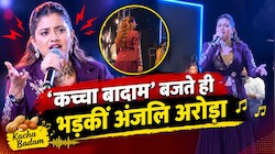 जिस 'कच्चा बादाम' गाने से मिली पहचान, उसी के बजते ही भड़कीं अंजलि अरोड़ा, मैनेजमेंट को लगाई फटकार; वीडियो वायरल