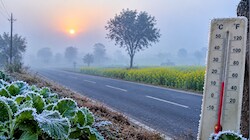 Haryana में सर्दी ने दी दस्तक, 5 डिग्री तक गिरा तापमान; जानें अगले 7 दिन का मौसम