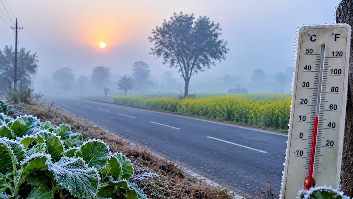 Haryana में सर्दी ने दी दस्तक, 5 डिग्री तक गिरा तापमान; जानें अगले 7 दिन का मौसम