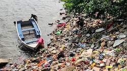 Chhath से पहले यमुना की सफाई की असली परीक्षा, नदी में मरी मिली मछलियां; घाटों पर कितनी तैयारी?