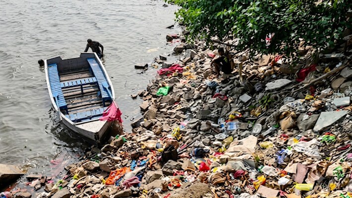 Chhath से पहले यमुना की सफाई की असली परीक्षा, नदी में मरी मिली मछलियां; घाटों पर कितनी तैयारी?