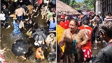 सप्तमी की भीड़, संकरी गली और छोटा सा पंडाल... कोलकाता में इतने बड़े हादसे का जिम्मेदार कौन?