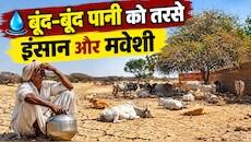 जैसलमेर में अकाल जैसे हालात: सीएम ने खोले खजाने के द्वार, 1 करोड़ रुपये की बड़ी घोषणा