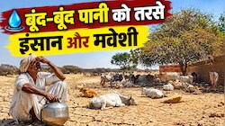 जैसलमेर में अकाल जैसे हालात: सीएम ने खोले खजाने के द्वार, 1 करोड़ रुपये की बड़ी घोषणा