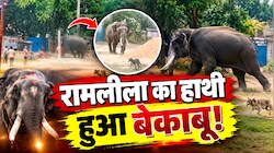 रामलीला में हाथी हुआ 'आउट ऑफ कंट्रोल': महावत को पटका, जान बचाकर भागे लोग, 2 किलोमीटर का इलाका सील