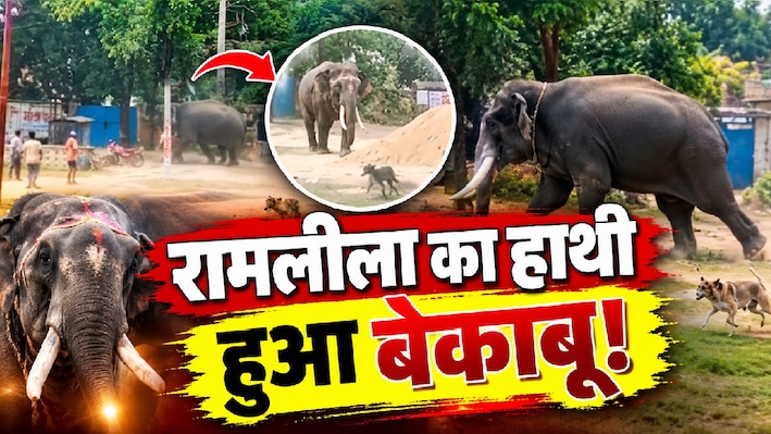 रामलीला में हाथी हुआ 'आउट ऑफ कंट्रोल': महावत को पटका, जान बचाकर भागे लोग, 2 किलोमीटर का इलाका सील
