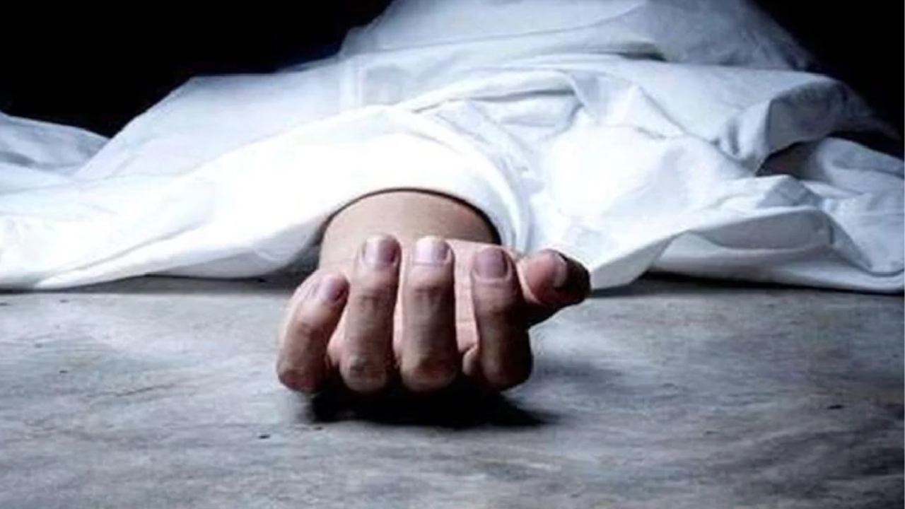 पश्चिम सिंहभूम में पत्थर से कुचलकर व्यक्ति की निर्मम हत्या, पुरानी रंजिश या आपसी विवाद... जांच रह रही पुलिस पश्चिम सिंहभूम में पत्थर से कुचलकर व्यक्ति की निर्मम हत्या, पुरानी रंजिश या आपसी विवाद... जांच रह रही पुलिस