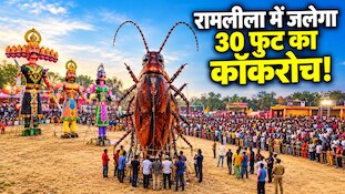 दिल्ली की रामलीला में जलाया जाएगा 30 फुट का कॉकरोच!  क्या है इसके पीछे की वजह?